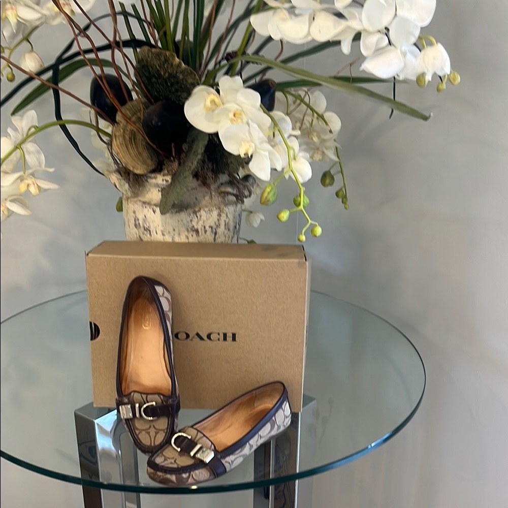 Coach Brown Leather Loafers for Everyday Comfort